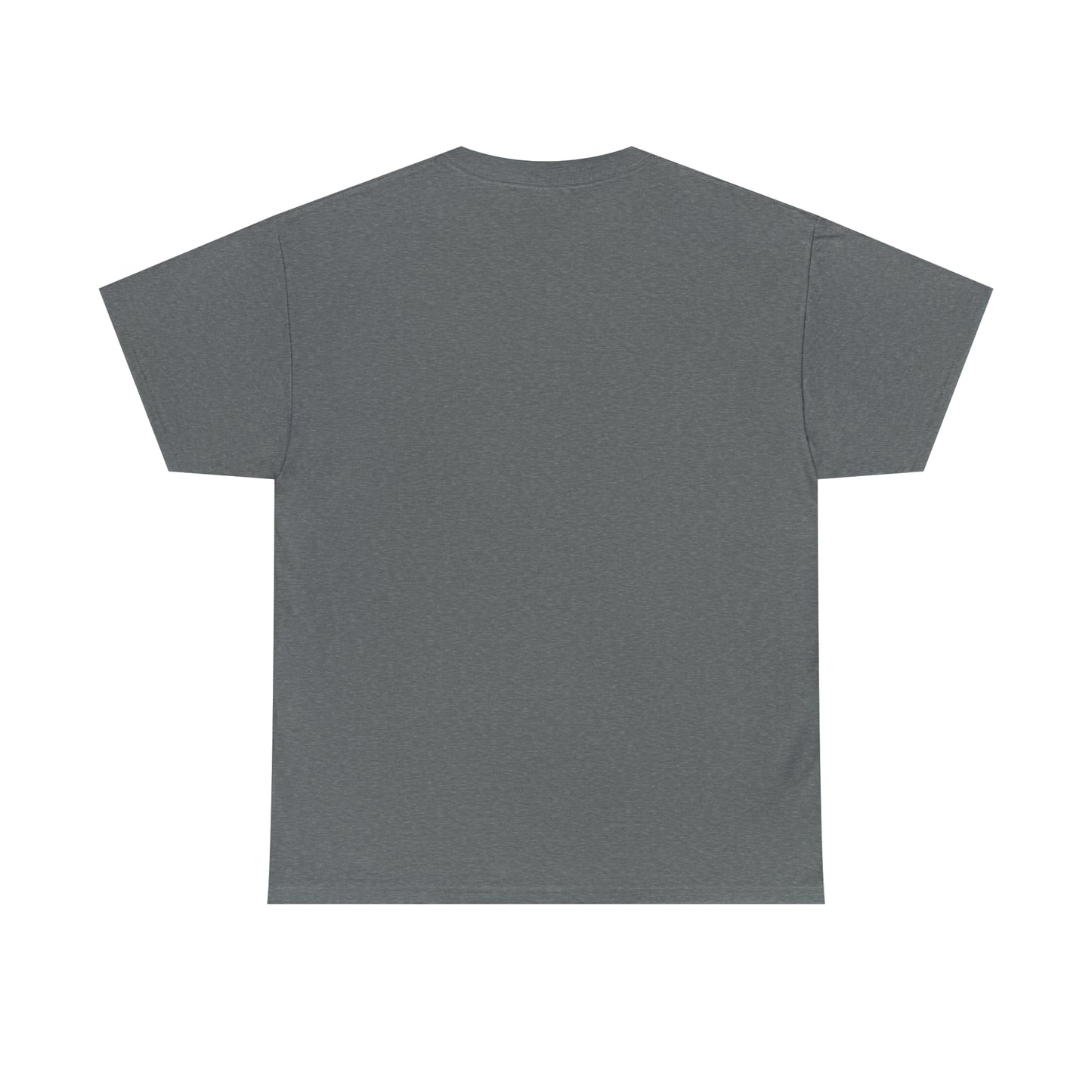 Stay Solid T-shirt