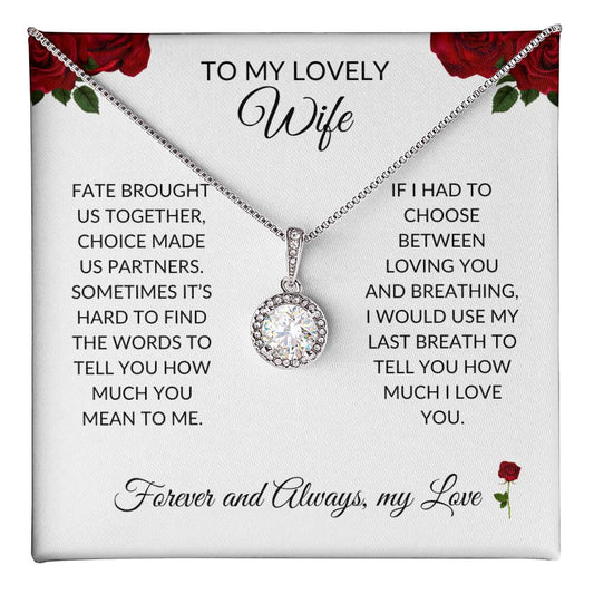 To my lovely Wife