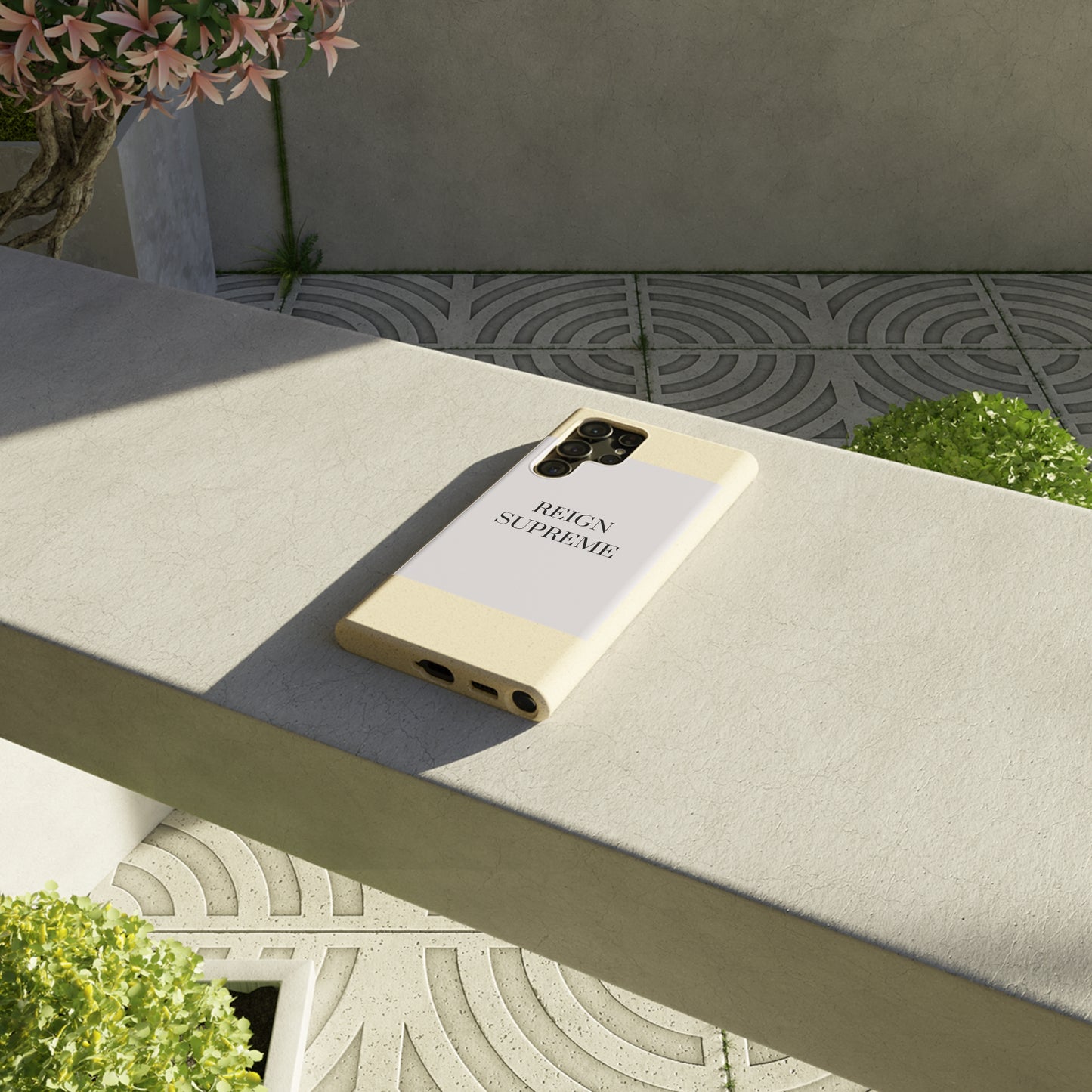 Biodegradable Cases