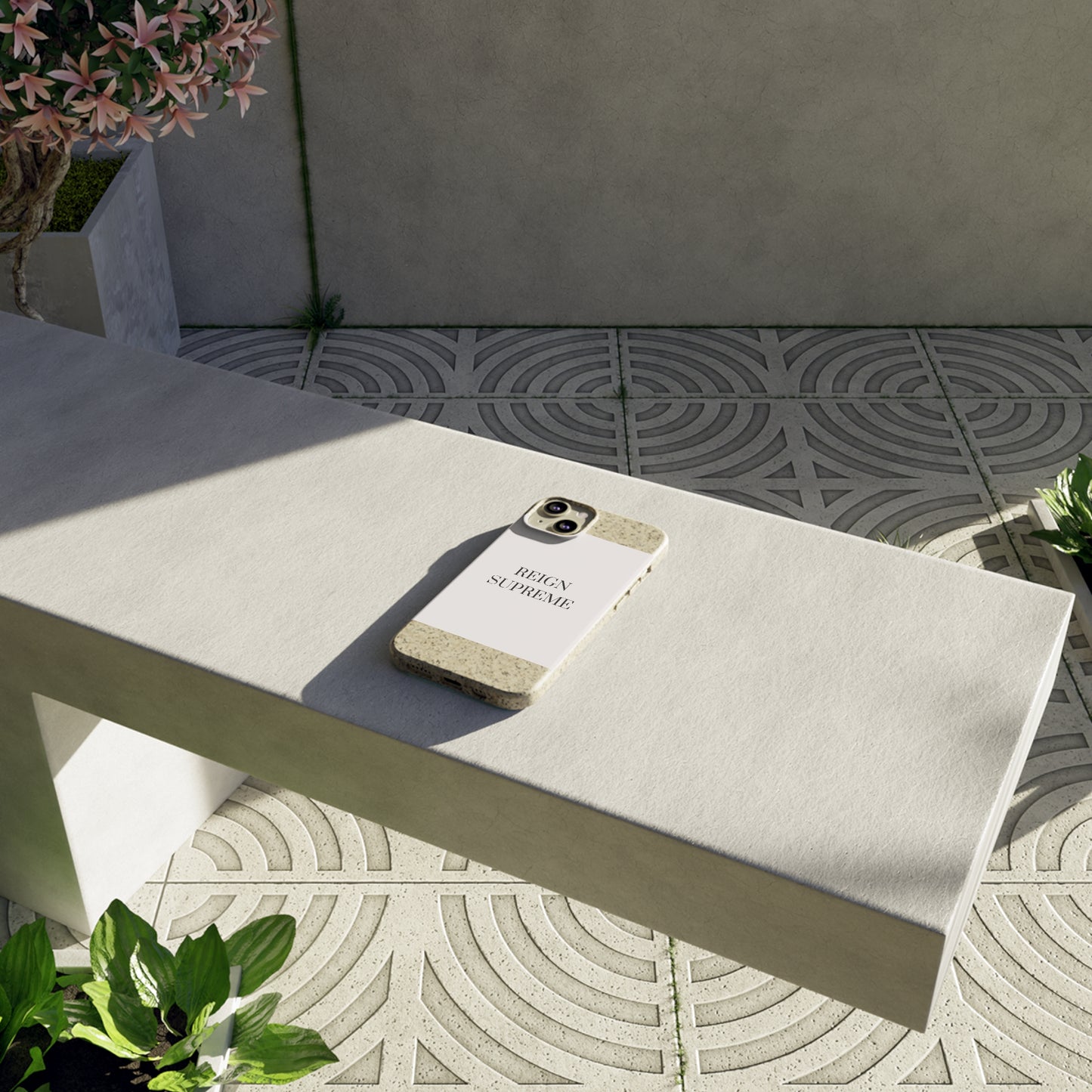 Biodegradable Cases